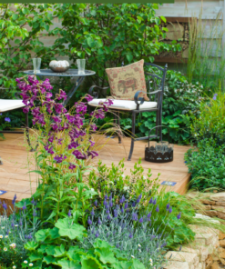 The Garden